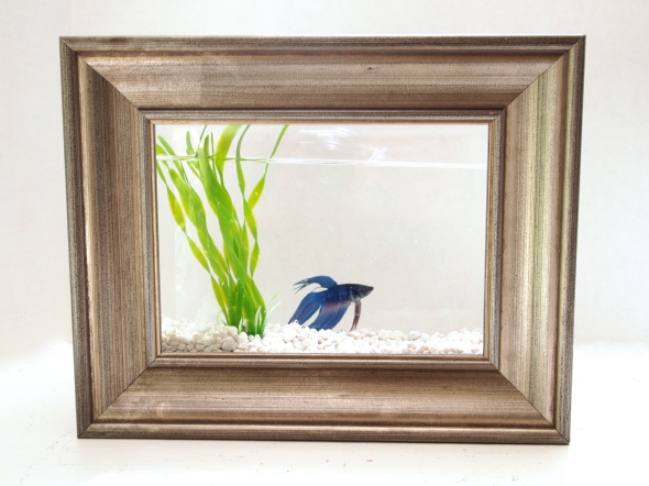 Glitter 'N Glue DIY Framed Fish Tank  - Aquarium